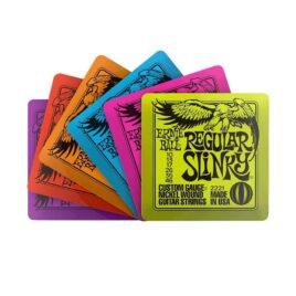 Ernie Ball Coaster